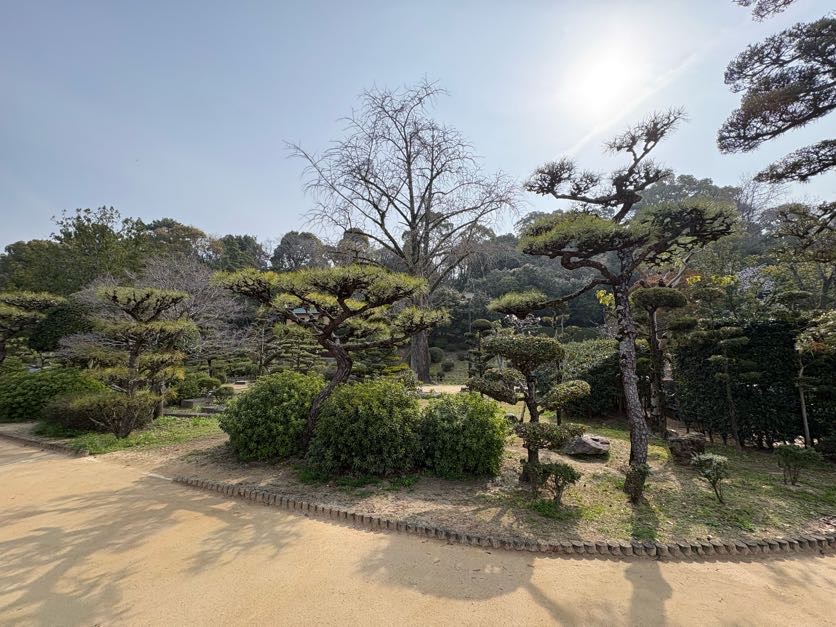 道後公園内2